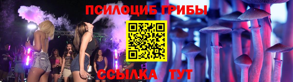 Псилоцибиновые грибы Cubensis  Вход с VPN  Кулебаки 